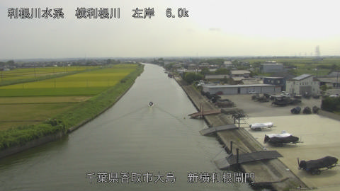 yoko2025082215_image