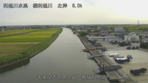 yoko2025082217_image