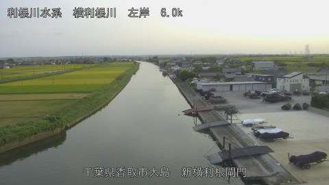 yoko2025082218_image