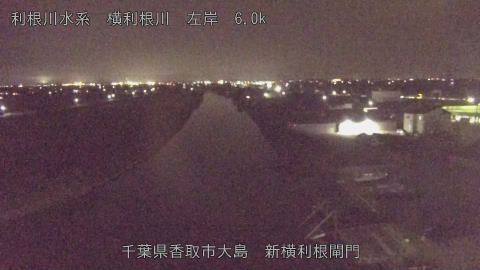 yoko2025082220_image