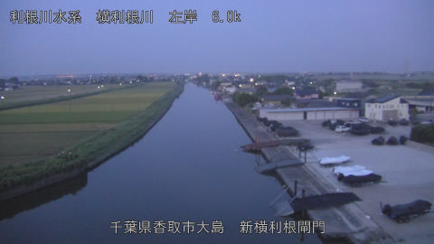 yoko2025082305_image