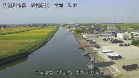 yoko2025082308_image