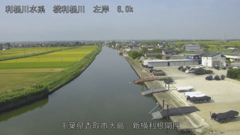 yoko2025082309_image