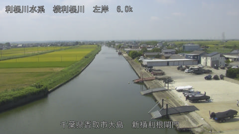 yoko2025082311_image