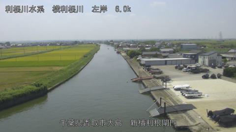 yoko2025082312_image