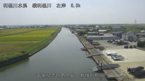 yoko2025082313_image