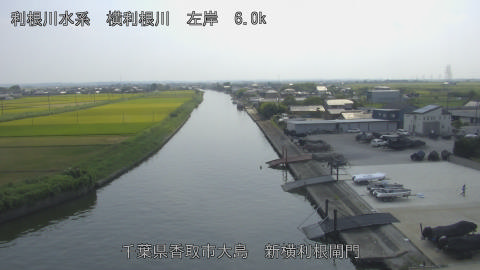 yoko2025082314_image