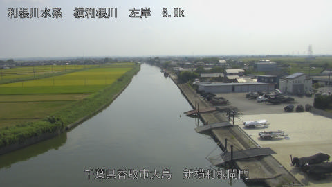 yoko2025082315_image