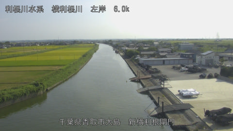 yoko2025082316_image