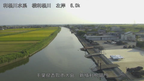 yoko2025082317_image