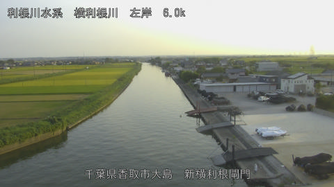 yoko2025082318_image