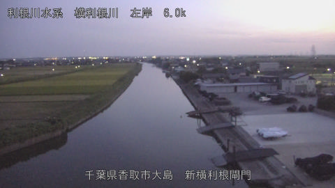 yoko2025082319_image