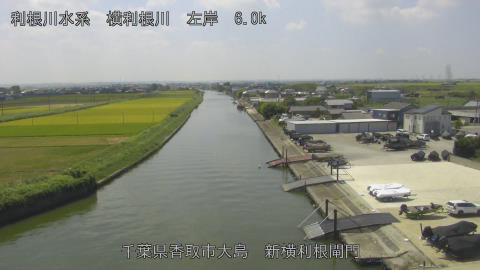 yoko2025082412_image