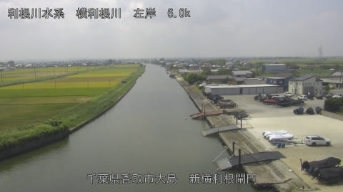 yoko2025082512_image
