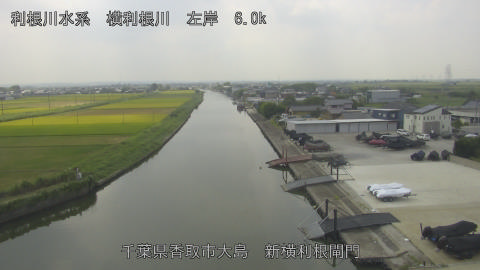 yoko2025082612_image