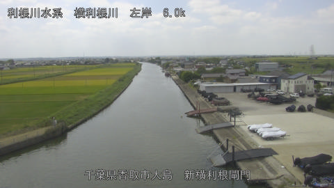 yoko2025082912_image
