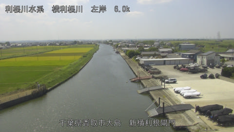 yoko2025090112_image