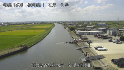 yoko2025090712_image