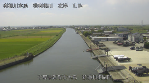 yoko2025090812_image
