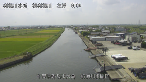 yoko2025090912_image