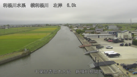 yoko2025091012_image