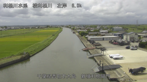 yoko2025091212_image
