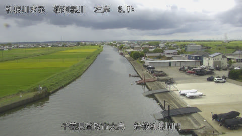 yoko2025091312_image