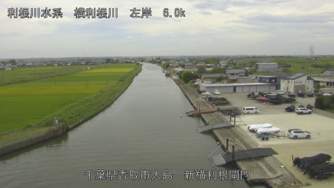 yoko2025091412_image