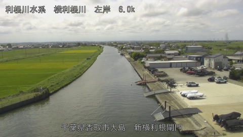 yoko2025091512_image