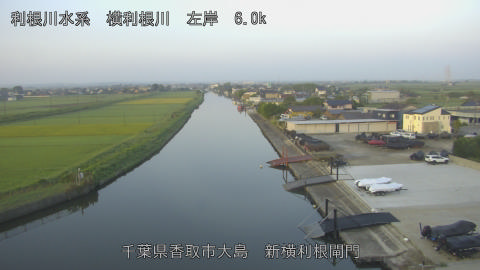 yoko2025091706_image