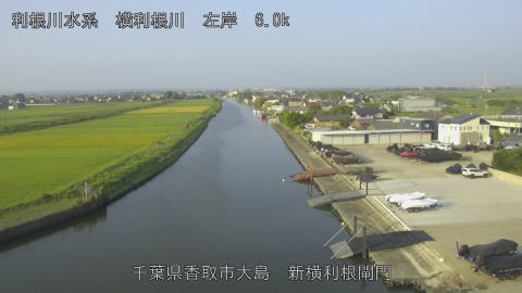 yoko2025091707_image