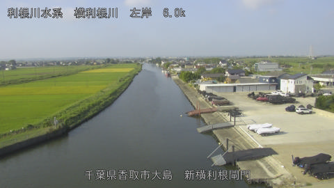 yoko2025091708_image