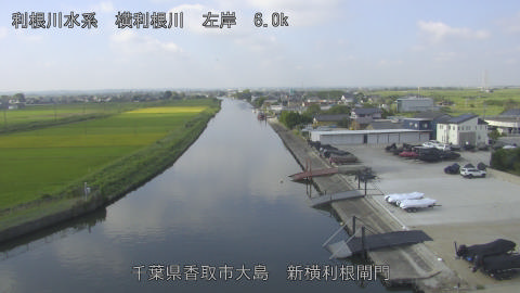 yoko2025091709_image