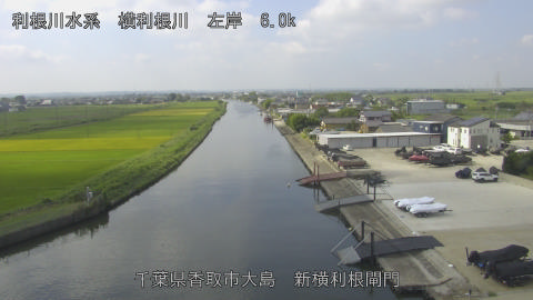 yoko2025091710_image