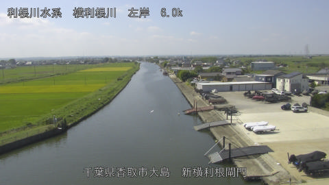yoko2025091711_image