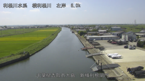 yoko2025091712_image