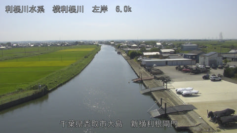 yoko2025091713_image