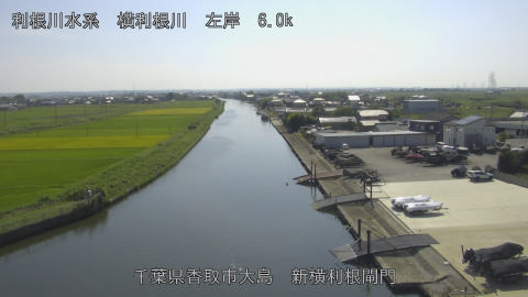 yoko2025091714_image
