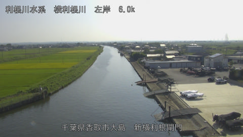 yoko2025091715_image