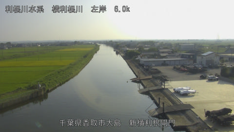 yoko2025091716_image