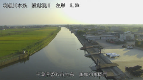yoko2025091717_image