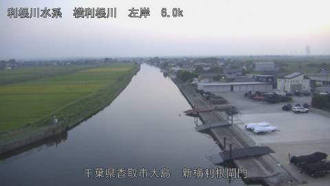 yoko2025091718_image