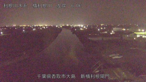 yoko2025091719_image