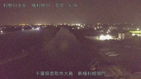 yoko2025091721_image