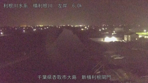 yoko2025091723_image