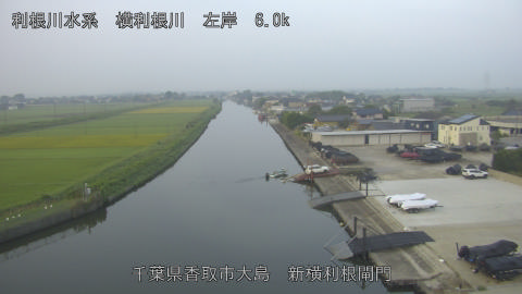 yoko2025091806_image