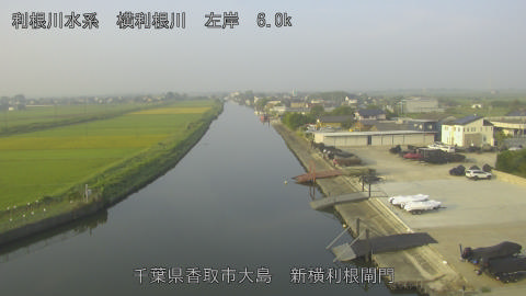 yoko2025091807_image