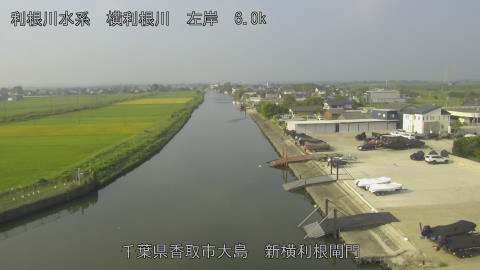 yoko2025091808_image