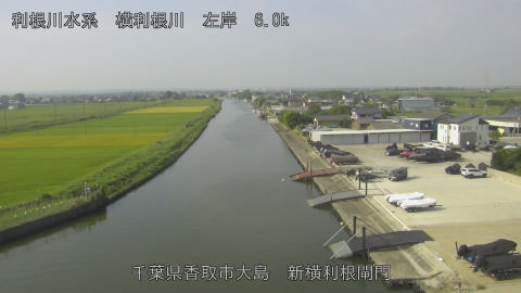 yoko2025091809_image