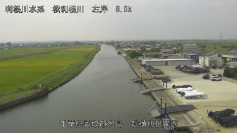 yoko2025091811_image